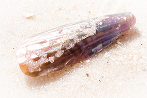 Naples Sand and Surf 2