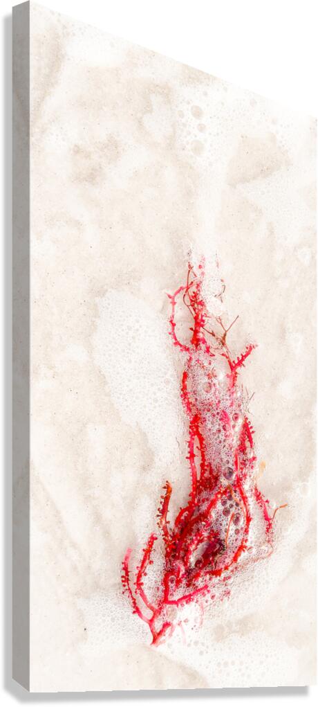 Naples Sand and Surf 1 Canvas Print