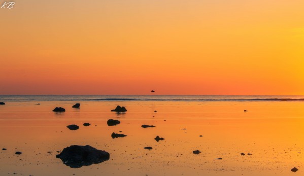 Calm Waters CIS Point by Koisen Wanori