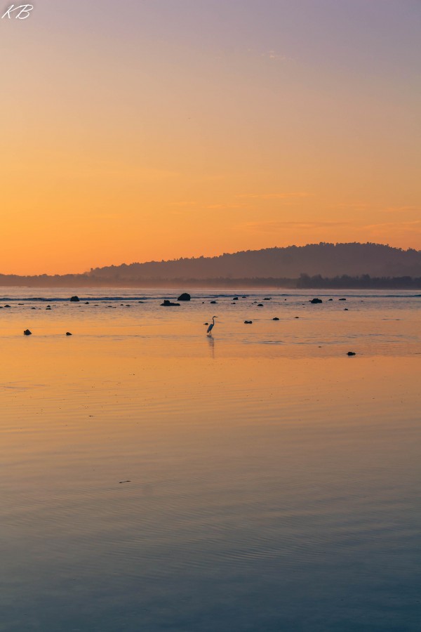 Lonely Heron Sunrise  by Koisen Wanori