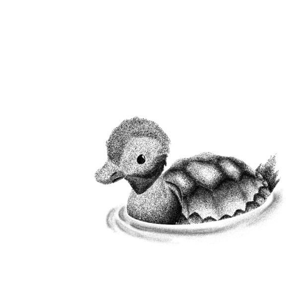 Turtle Duck Print