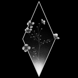 Fade of Existence