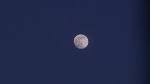 Moonviews