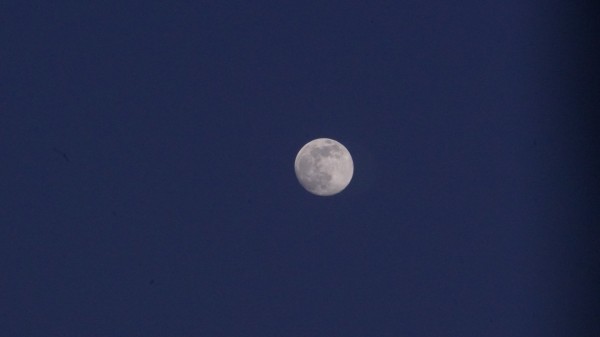 Moonviews Print