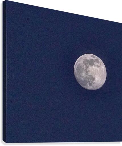 Full Moon  Canvas Print