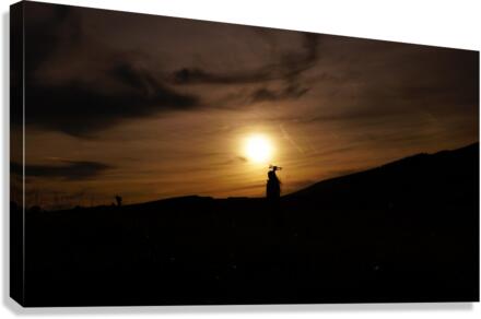 Drone Canvas Print