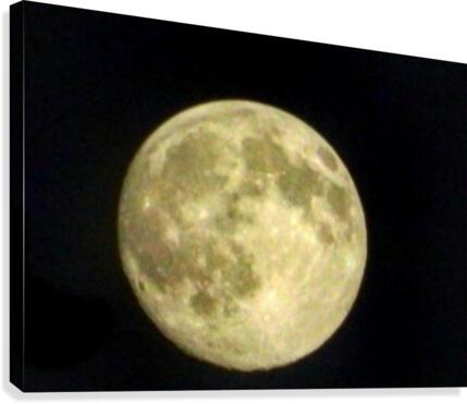 Moon  Canvas Print