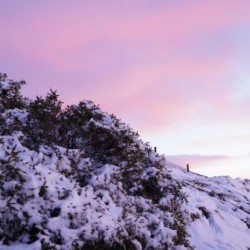 Sunrise Hills