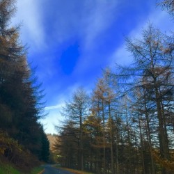 Peak District Lady Bower 