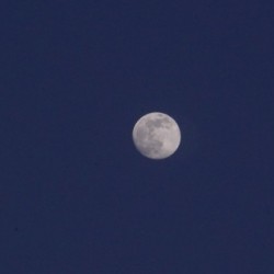 Moonviews