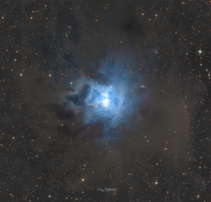 The Blooming Void - September 9th 2024