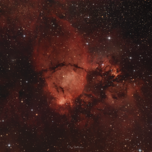 The Cosmic Koi - September 11th 2024