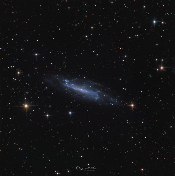 The Shy Spiral - February 23rd 2025 Print