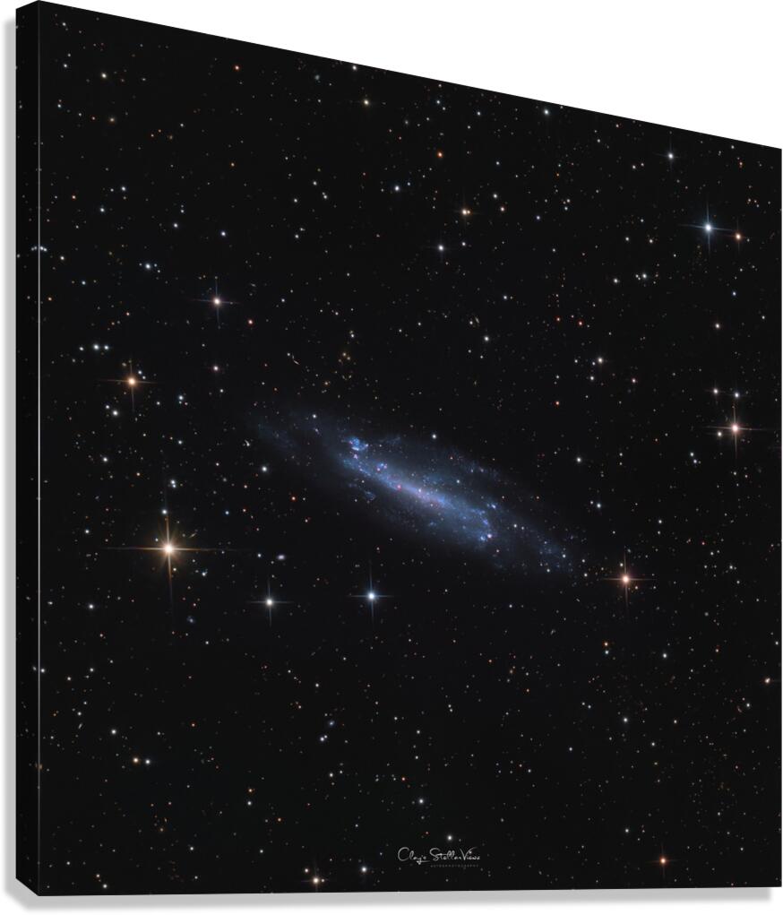 The Shy Spiral - February 23rd 2025 Canvas Print