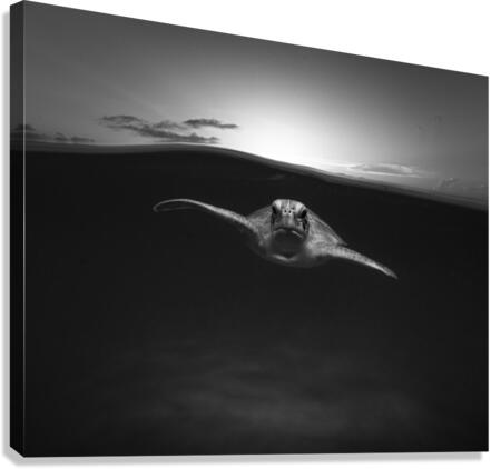 Fissure Canvas Print