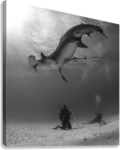 Twisted Sisters Canvas Print
