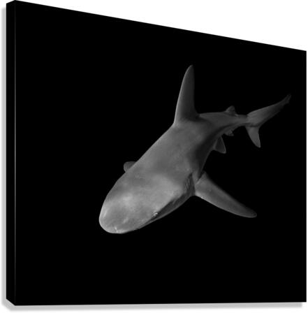 Red Eye Canvas Print