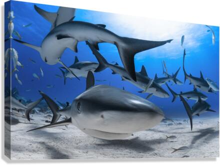 Cerulean Cyclone Canvas Print