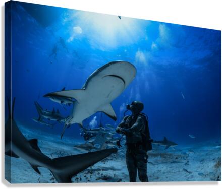 Shuttle Canvas Print