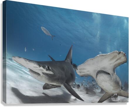 Wingmen Canvas Print