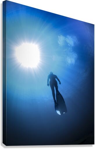 Blue Lagoon Canvas Print