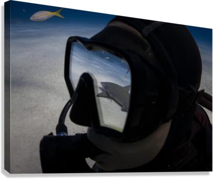Mirror Mirror Canvas Print