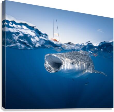 Big Gulp Canvas Print