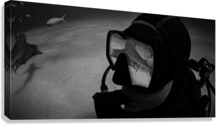 Panorex Canvas Print