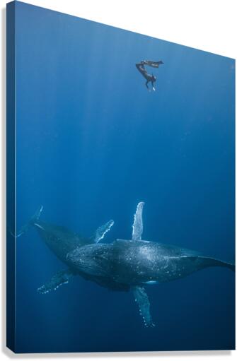 Allure Canvas Print