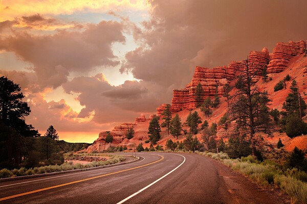 UT536xA by Eleven Arts Photography