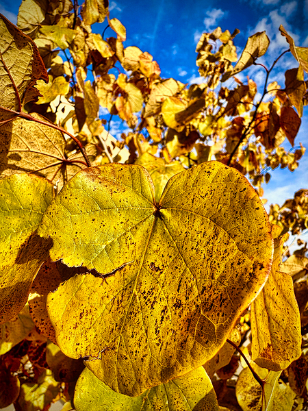 IMG 2179 by Eleven Arts Photography