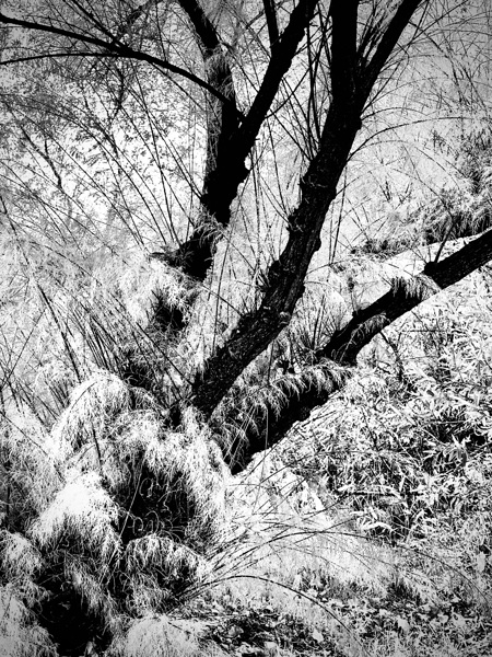 IMG 2092 by Eleven Arts Photography