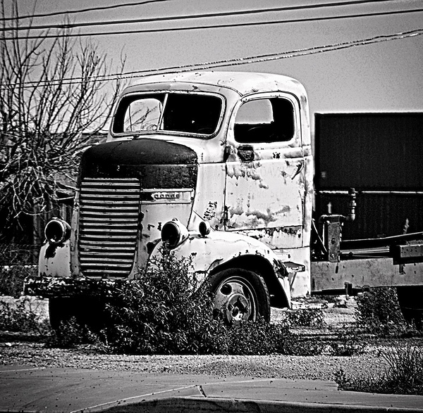 IMG 3789 by Eleven Arts Photography