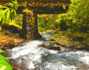 Tiki Bridge