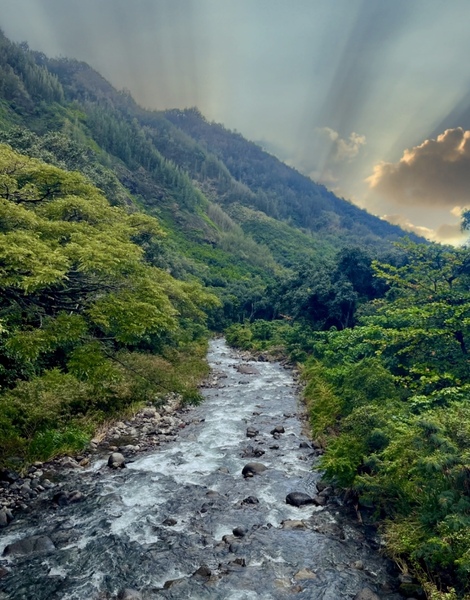 Iao Stream Print