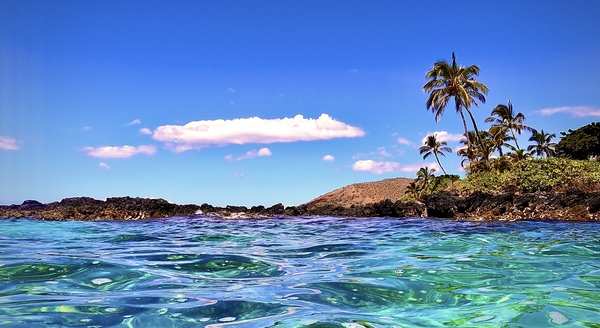 Makena Makai by Meena Nieve