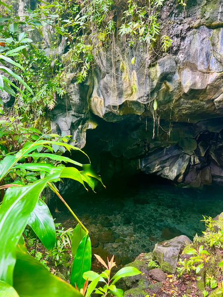 Grove Cavern Print