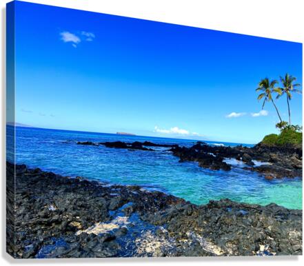 Blue Breeze Canvas Print