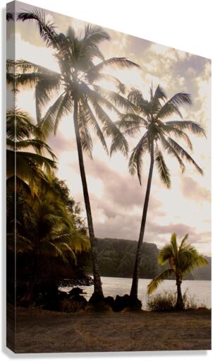 Ohana Tree Canvas Print