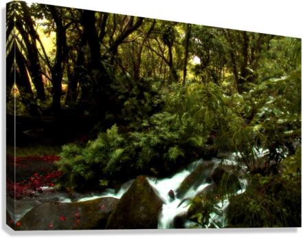 Nani Stream Canvas Print