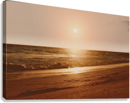 Vanilla Sunkiss Canvas Print
