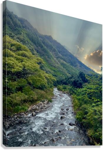Iao Stream Canvas Print