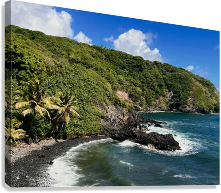 Old Kuokoa Canvas Print