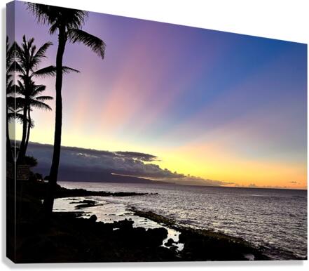Rainbow Sherbert Canvas Print