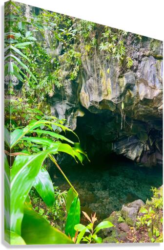 Grove Cavern Canvas Print