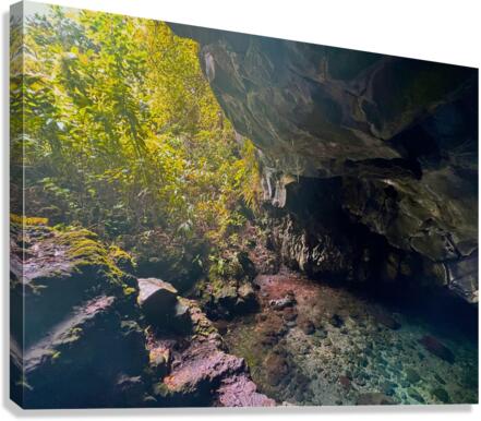 Hollow Canvas Print