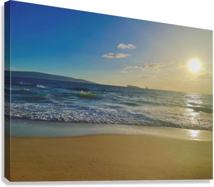 Setting Sail Canvas Print