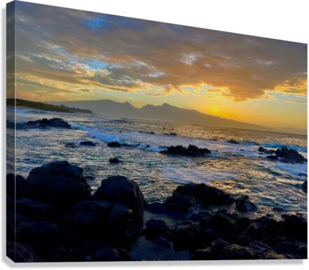 Hookipa  Canvas Print