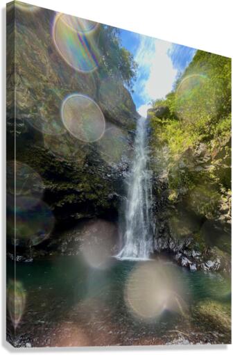 Rainbow Specks  Canvas Print