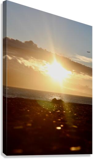 A Hui Hou Canvas Print